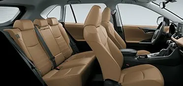 Agilidade e Dinamismo